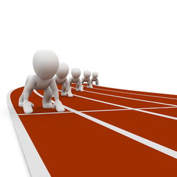 乐鱼体育app入口-中小学体育健康教育课程开发与实践，中小学体育与健康课程指导纲要